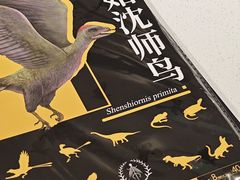 -辽宁古生物博物馆