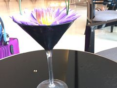 -圣丰索菲特·2 On 988 Café 自助餐厅