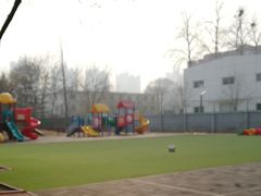 -金雁飞鸣双语幼儿园