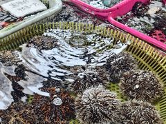 -板桥海鲜广场(文明东店)