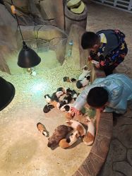 -宝燕乐园(闵行旗舰店)