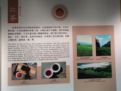 -中国茶叶博物馆(双峰馆区)