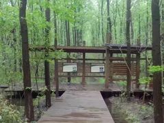 -合肥滨湖国家森林公园