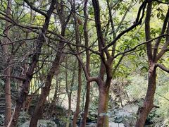 -宁波五龙潭景区