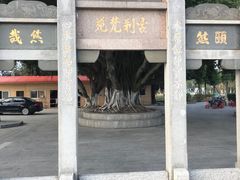 -安平桥