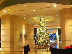 大堂酒廊-上海波特曼丽思卡尔顿酒店