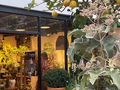 -自由生长植物工作室(深港花卉中心店)