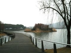 -宝界山林公园