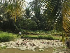 -Mekong Rest Stop