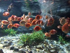 -福州罗源湾海洋世界旅游区