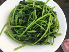清炒地瓜叶-文昌鸡饭店110号(中山路店)