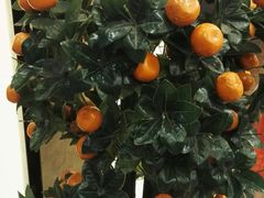 -津菜宋记老房子(鼓楼店)