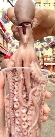 -人和啤酒屋海鲜大排档(营口路店)