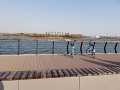 -丁香湖公园