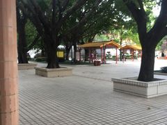 -广东圆玄道观
