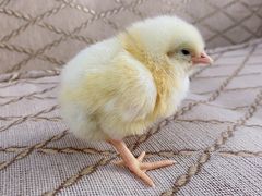 -兴芮温泉度假区