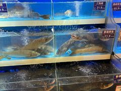 -伊藤洋华堂(温江店)