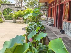 -乐氏荤豆花