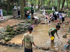 -火炉山森林公园