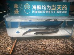 -東盛炭烤自助料理(玄武招商花园城店)