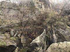 -秦岭终南山世界地质公园翠华山景区
