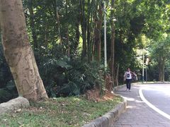 -火炉山森林公园