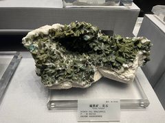 -湖南省地质博物馆