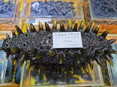 -中国农业博物馆