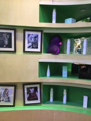 -艺米阳光Hair Salon