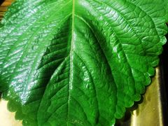 苏子叶-范儿·嫂子烤肉·精致炭火烤肉(长治路店)