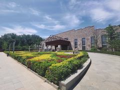 -南宫五洲植物乐园