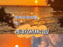 -宝安西湾红树林湿地公园