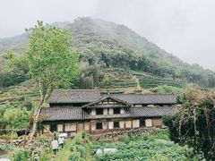 -九鲤溪瀑景区