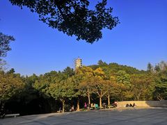 -深圳国际园林花卉博览园