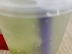 -楼上猫咖(罗湖店)
