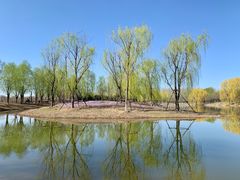 -东郊湿地公园