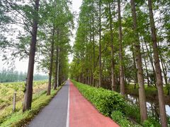 -上海长兴岛郊野公园