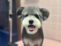 -FAELING PETS美天灵宠物(富力广场店)