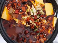 毛血旺-海派美食•海鲜青岛菜•活海肠捞饭(台东店)