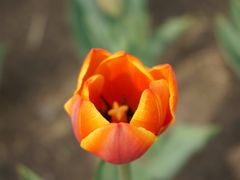 -长春公园(普阳街道)