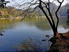 -黔灵山公园
