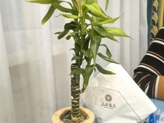 -山西饭店