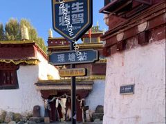 -稻城亚丁景区-冲古草甸