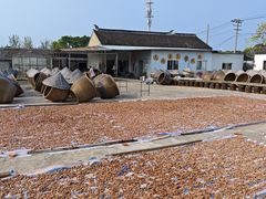 -苏州市吴中区光福窑上花果蜜饯厂