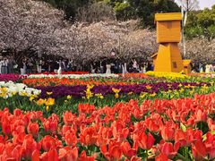 -苏州上方山国家森林公园