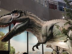 -湖南省地质博物馆