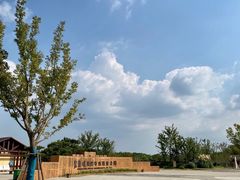 -盘龙城国家考古遗址公园