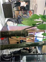 -Nice奈斯形象定制沙龙