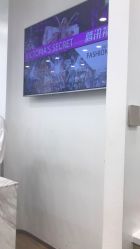 -YESIDO椰岛造型