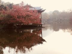 -西湖外事游船(花港观鱼码头)